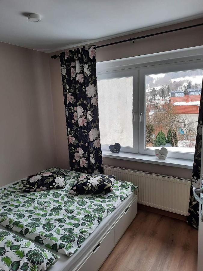 Orlicka Apartament Душники-Здруй Экстерьер фото