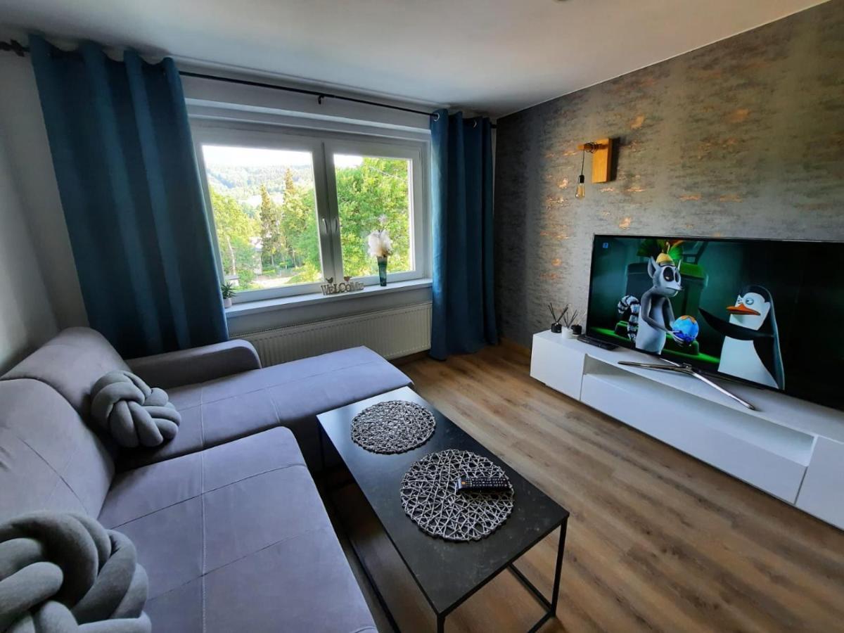 Orlicka Apartament Душники-Здруй Экстерьер фото
