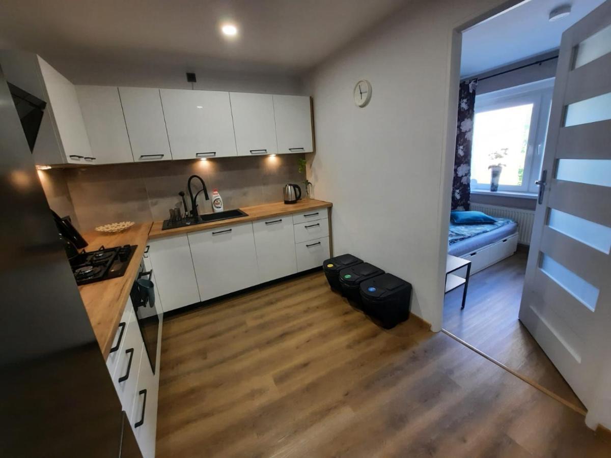 Orlicka Apartament Душники-Здруй Экстерьер фото