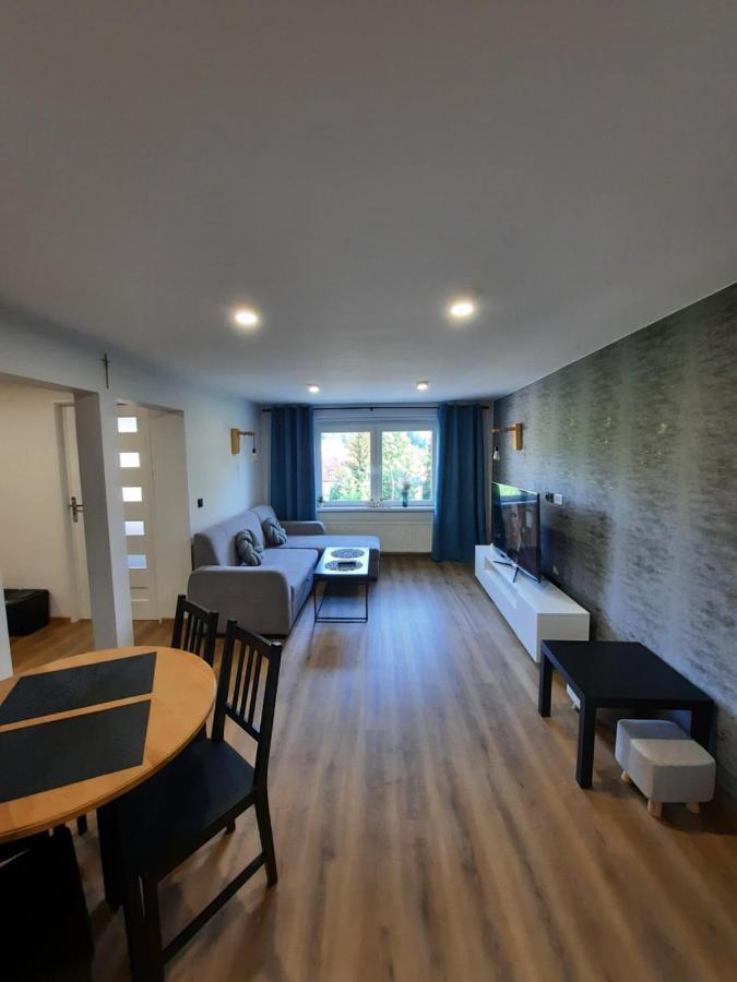 Orlicka Apartament Душники-Здруй Экстерьер фото