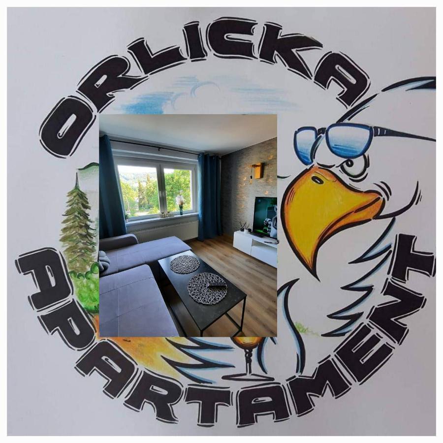 Orlicka Apartament Душники-Здруй Экстерьер фото